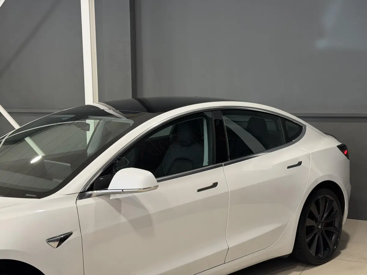 Performance AWD 75 kWh | 87,4% SOH | Performance | Autopilot |