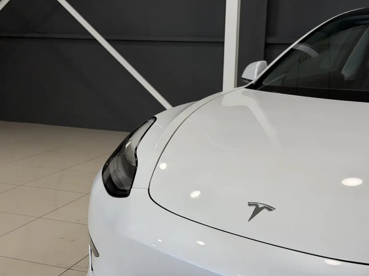 Performance AWD 75 kWh | 87,4% SOH | Performance | Autopilot |