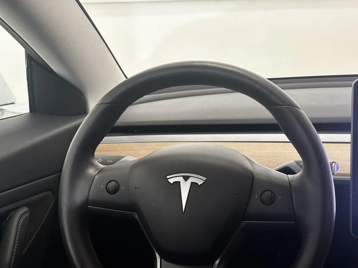 Performance AWD 75 kWh | 87,4% SOH | Performance | Autopilot |