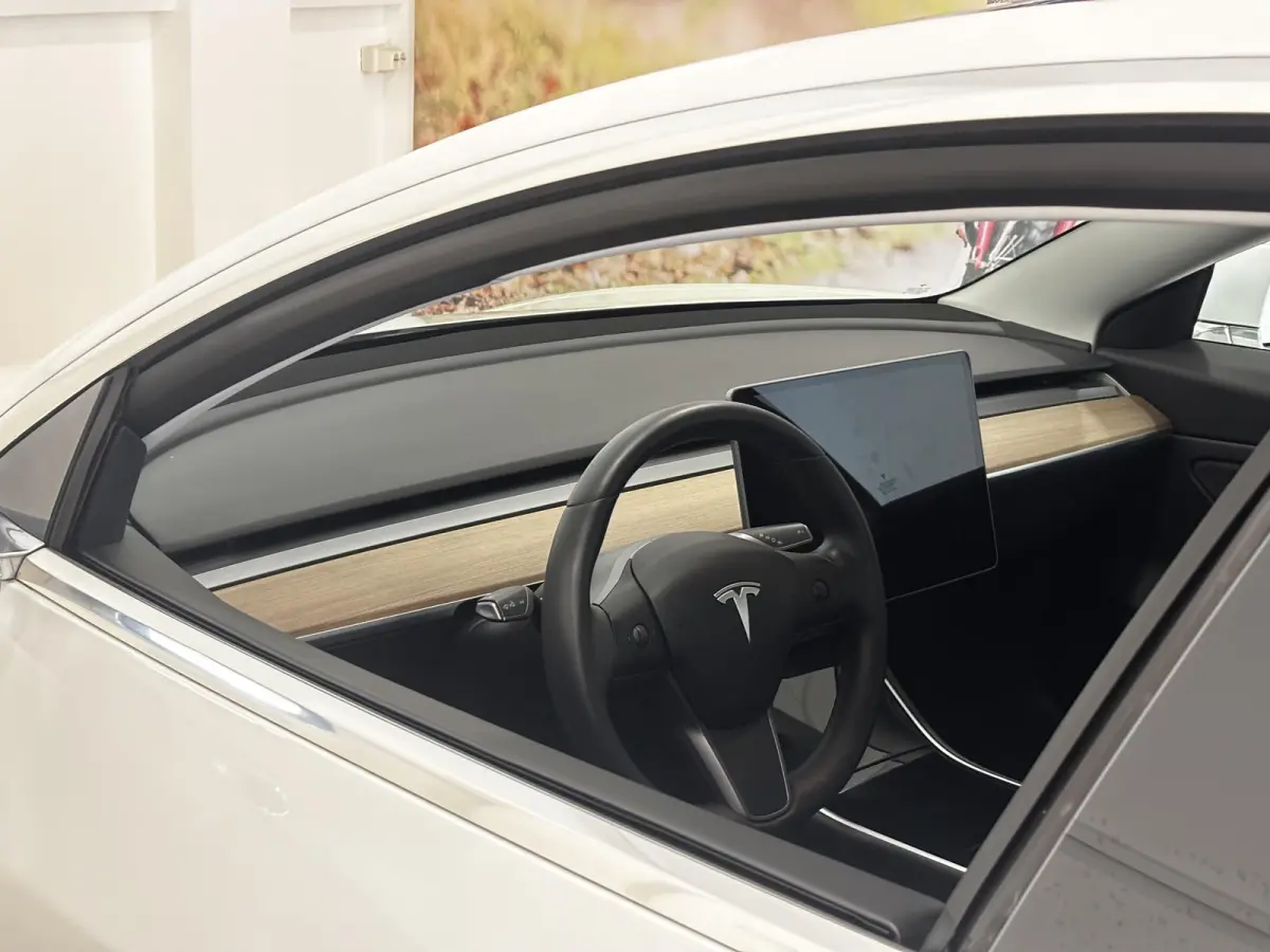 Performance AWD 75 kWh | 87,4% SOH | Performance | Autopilot |