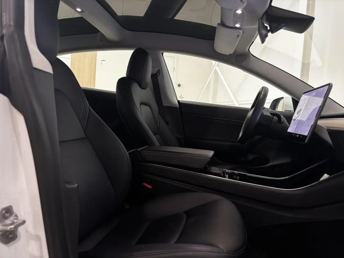 Performance AWD 75 kWh | 87,4% SOH | Performance | Autopilot |