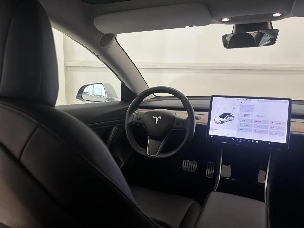 Performance AWD 75 kWh | 87,4% SOH | Performance | Autopilot |