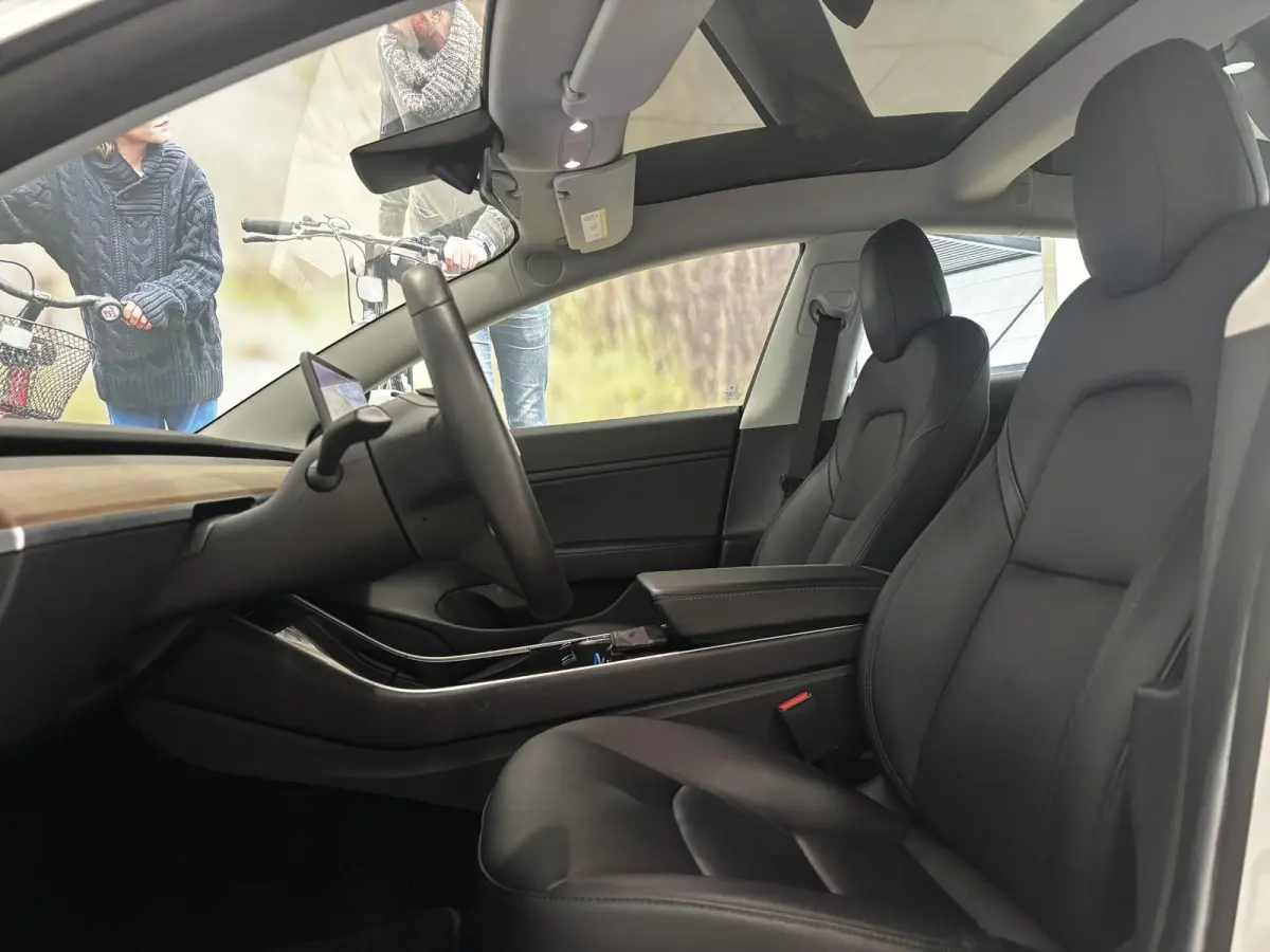 Performance AWD 75 kWh | 87,4% SOH | Performance | Autopilot |