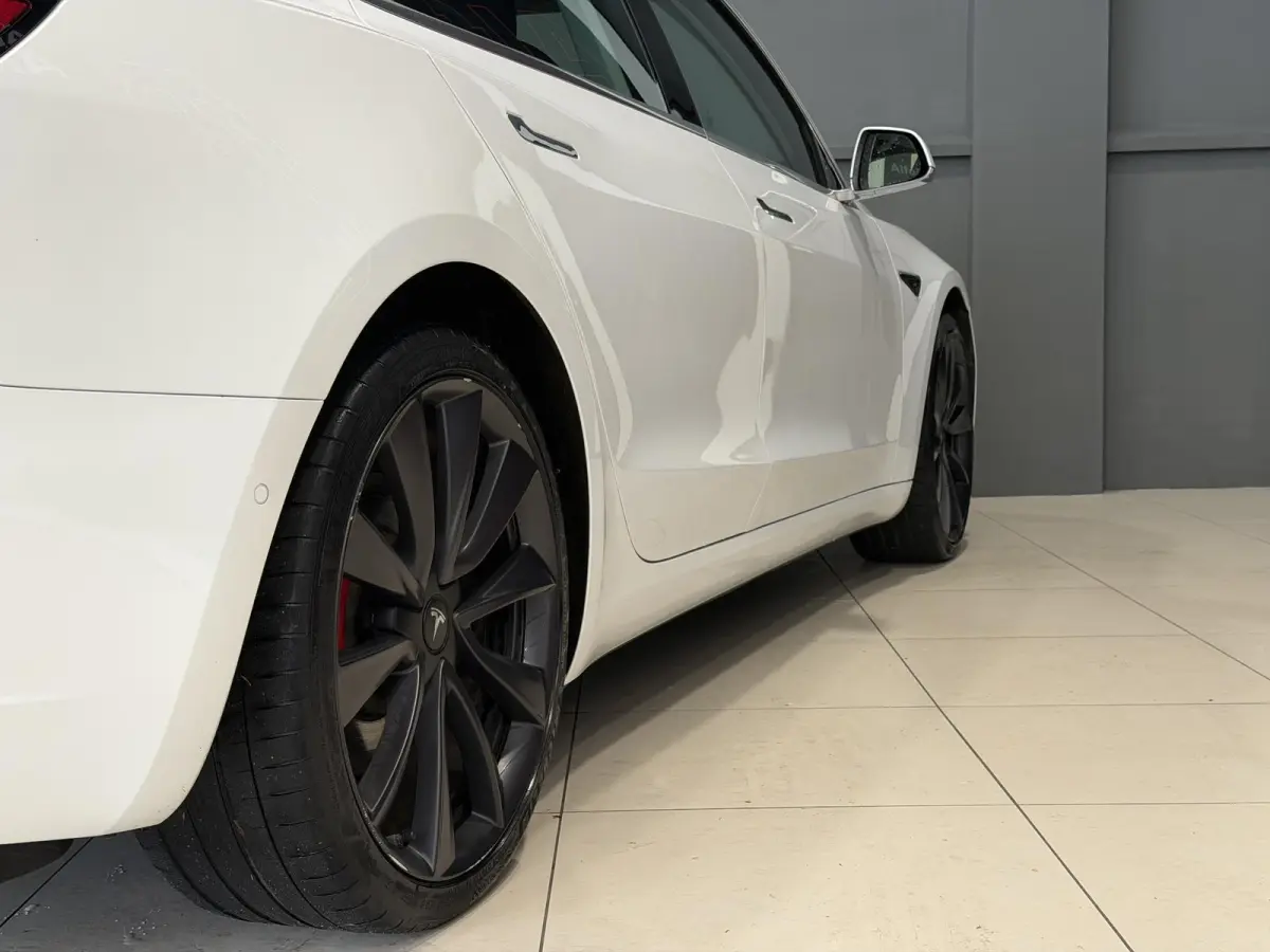 Performance AWD 75 kWh | 87,4% SOH | Performance | Autopilot |