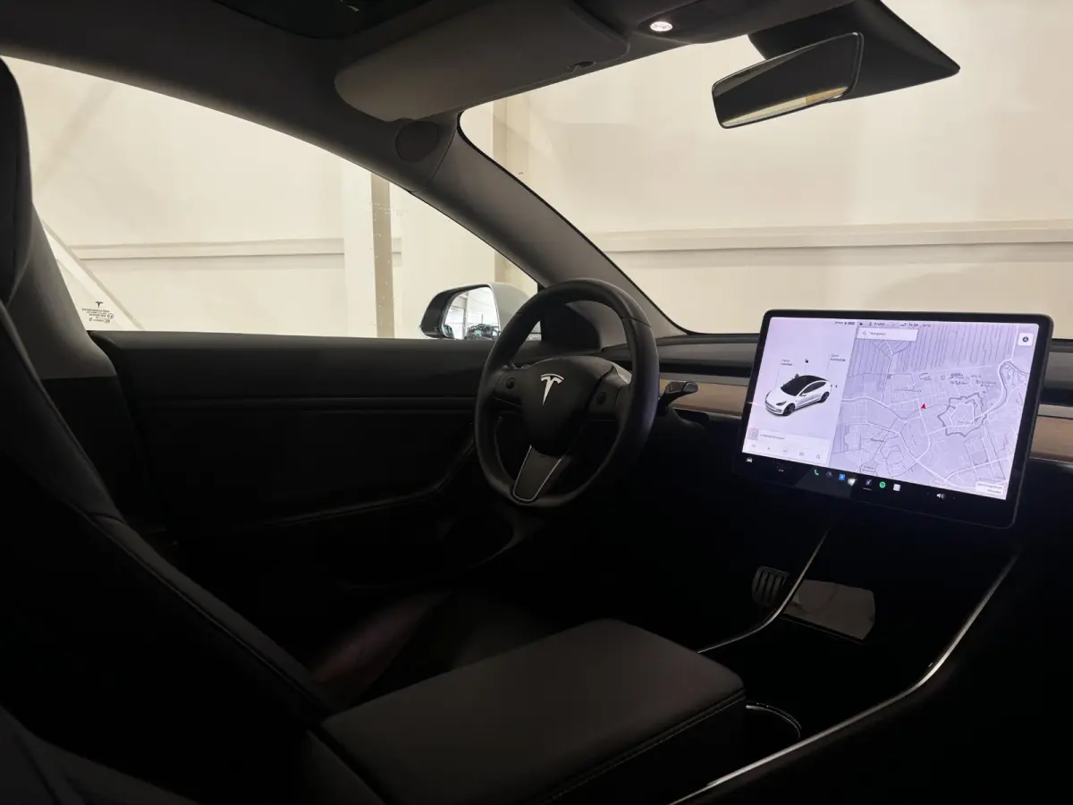 Performance AWD 75 kWh | 87,4% SOH | Performance | Autopilot |