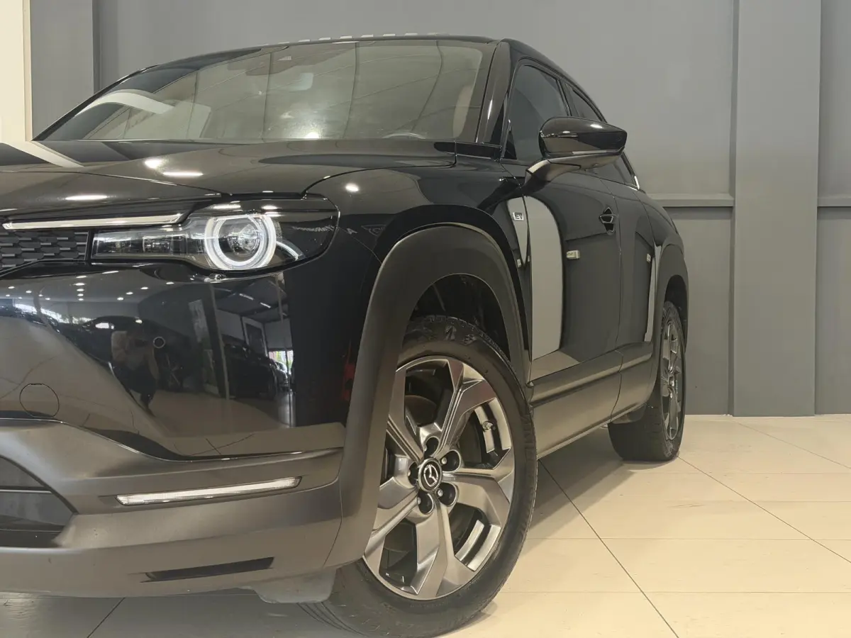 e-SkyActiv 145 Makoto 36 kWh | Panorama dak | SOH 94% | BOSE geluidsysteem |