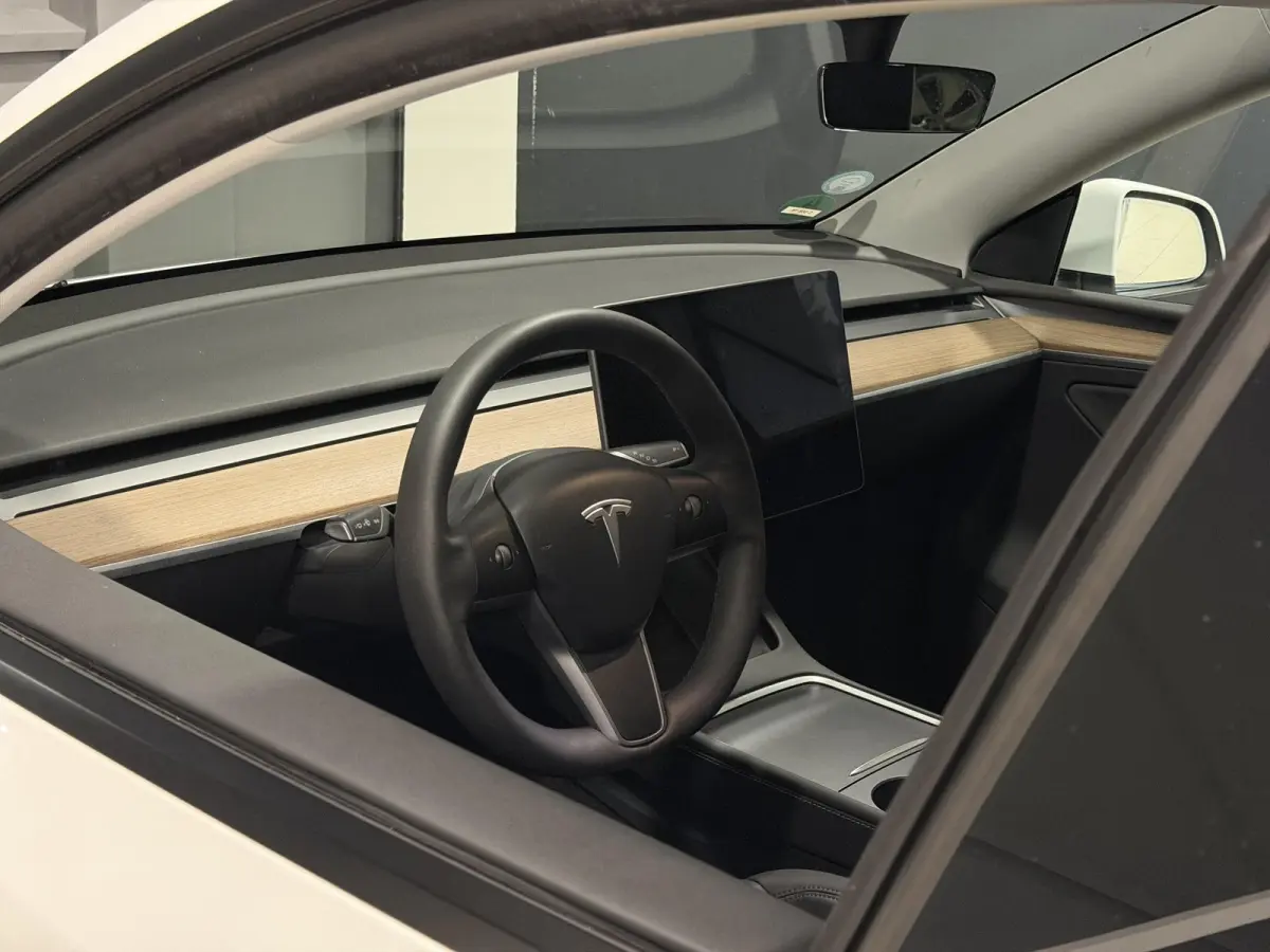 Long Range AWD 75 kWh | SOH 89,5% |