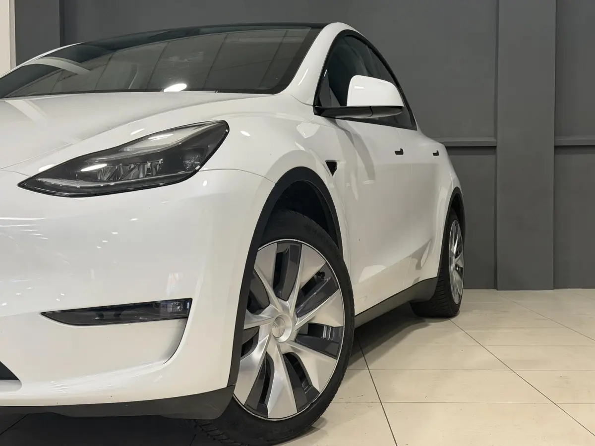 Long Range AWD 75 kWh | SOH 89,5% |