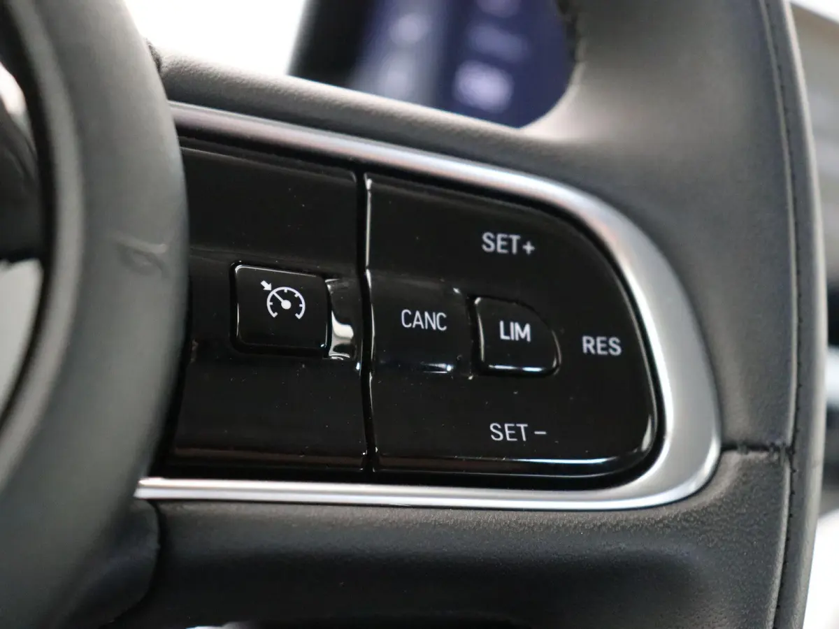 Icon 42 kWh | 320km WLTP | 85KWh Snelladen | Cruise control | Apple Carplay & Android Auto |