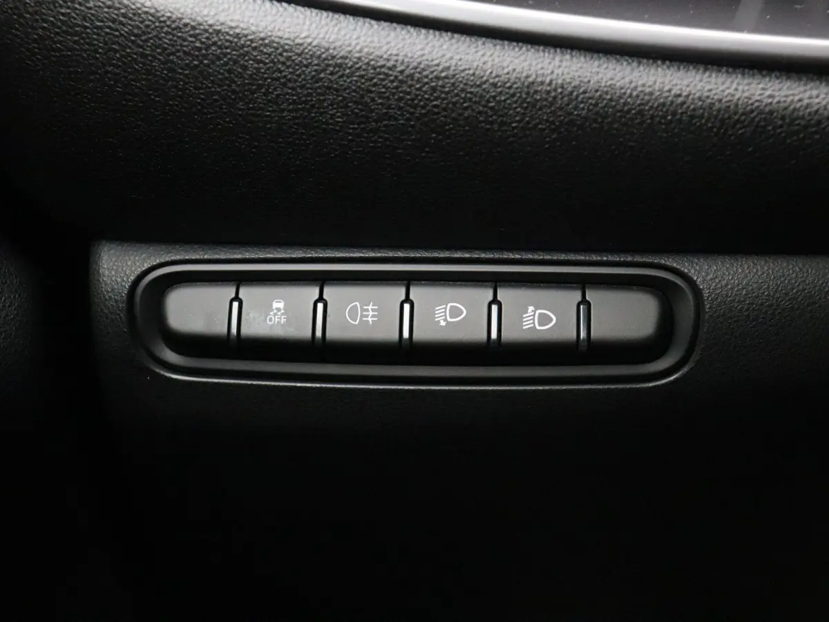 Icon 42 kWh | 320km WLTP | 85KWh Snelladen | Cruise control | Apple Carplay & Android Auto |