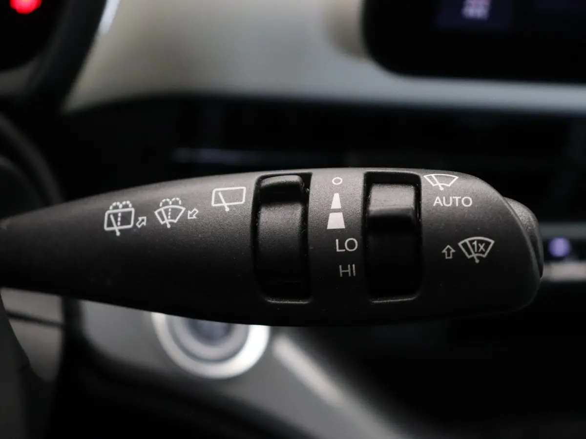 Icon 42 kWh | 320km WLTP | 85KWh Snelladen | Cruise control | Apple Carplay & Android Auto |