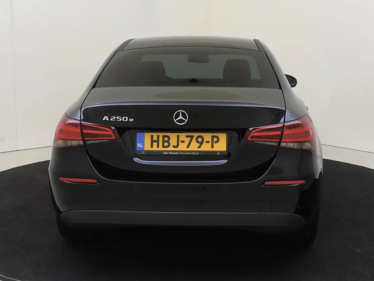250 e Business Line / Achteruitrijcamera /
