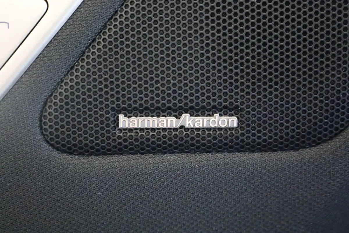 xDrive40 Business Edition Plus 77 kWh | Rondom Camera's | Soft Close | Active Cruise Control | Harman Kardon | panoramadak Sky Lounge |