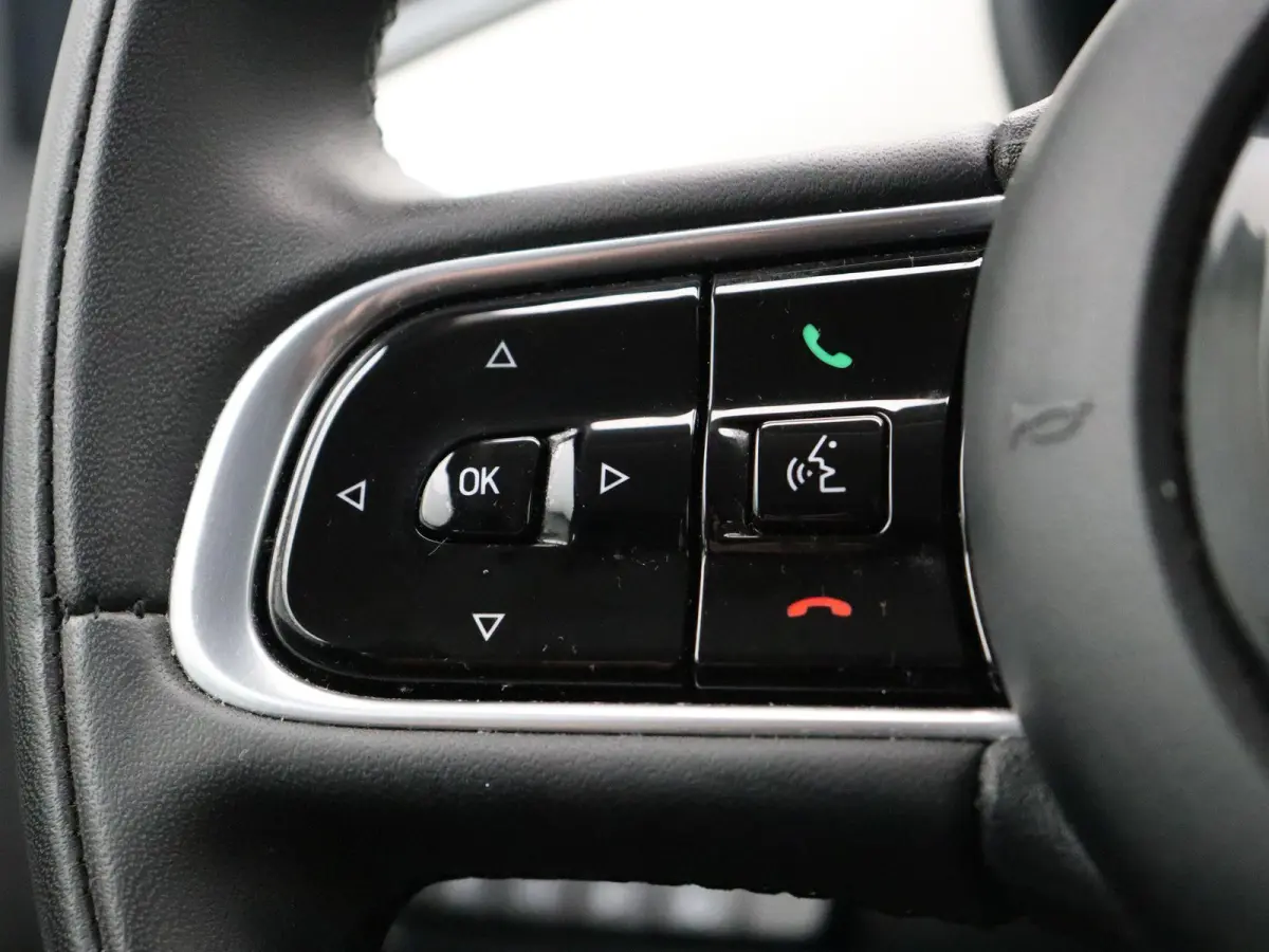 Icon | 320km WLTP | 85KWh Snelladen | Cruise control | SOH 94% |