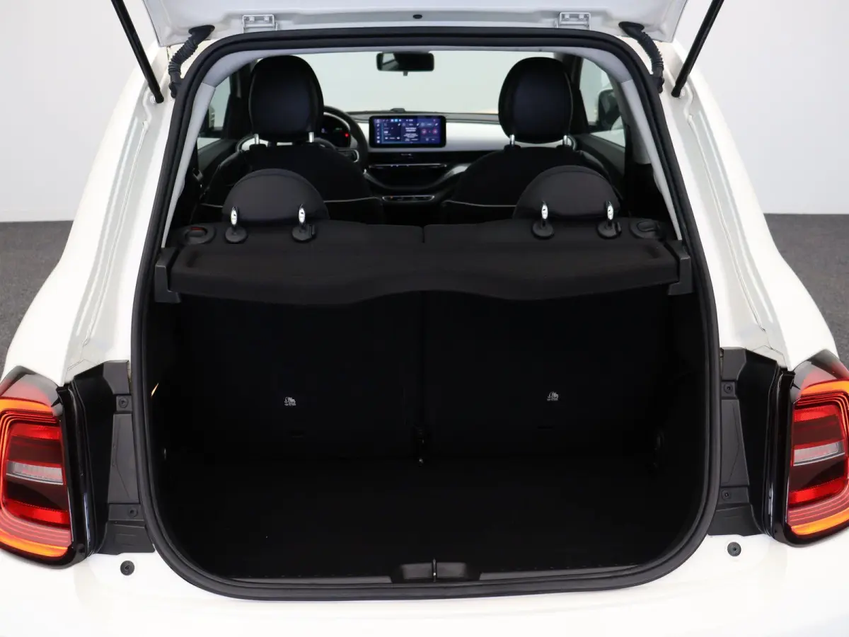 Icon | 320km WLTP | 85KWh Snelladen | Cruise control | SOH 94% |