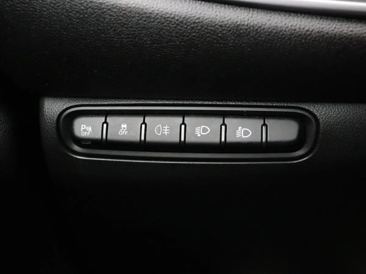 Icon | 320km WLTP | 85KWh Snelladen | Cruise control | SOH 94% |