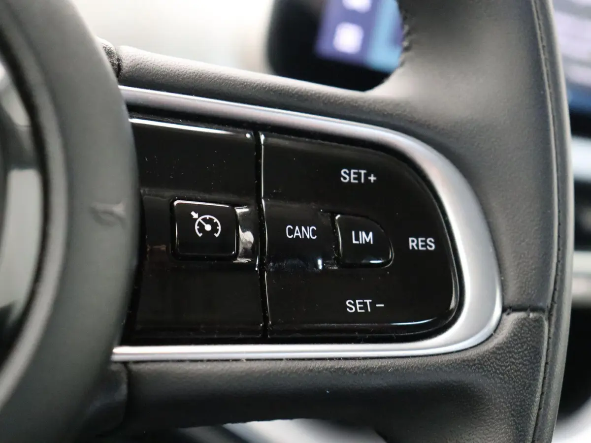 Icon | 320km WLTP | 85KWh Snelladen | Cruise control | SOH 94% |