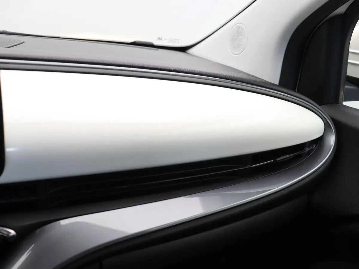 Icon | 320km WLTP | 85KWh Snelladen | Cruise control | SOH 94% |