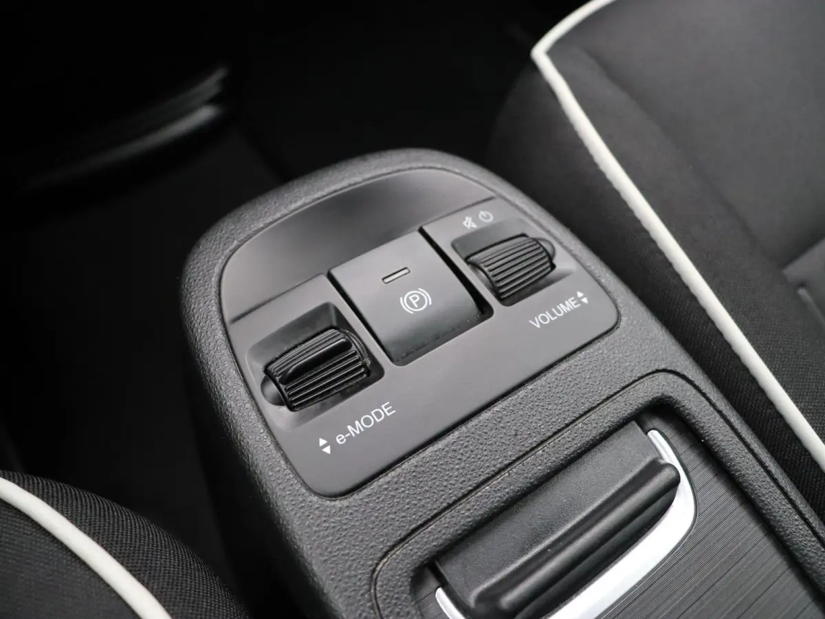 Icon | 320km WLTP | 85KWh Snelladen | Cruise control | SOH 94% |