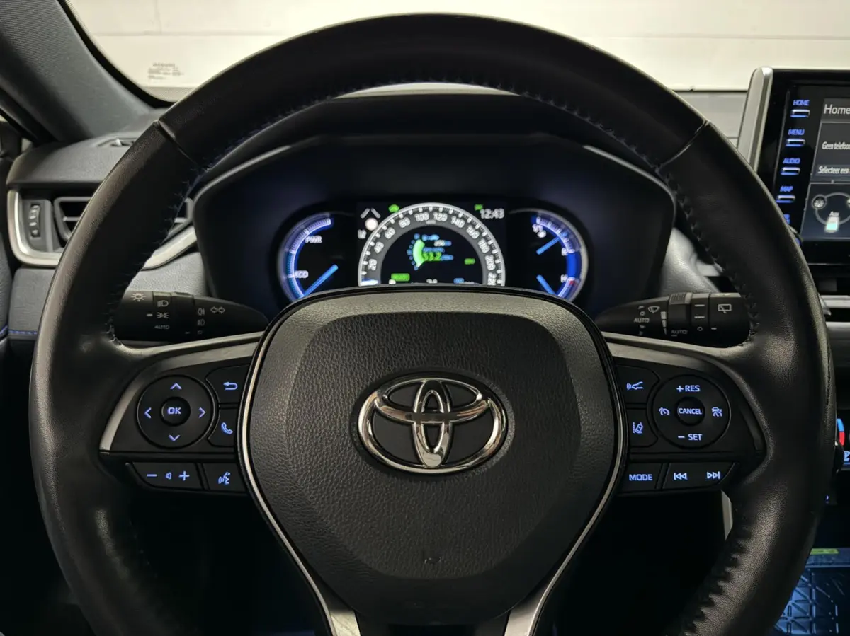 2.5 Hybrid 4x2 Pano 360° CarPlay Trekhaak ACC