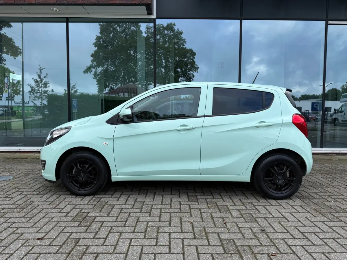 1.0 ecoFLEX Edition - Automaat - Media - Airco - Org.NL