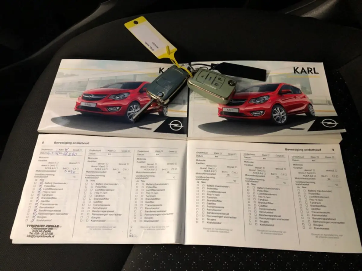 1.0 ecoFLEX Edition - Automaat - Media - Airco - Org.NL