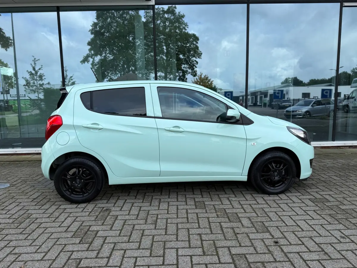 1.0 ecoFLEX Edition - Automaat - Media - Airco - Org.NL