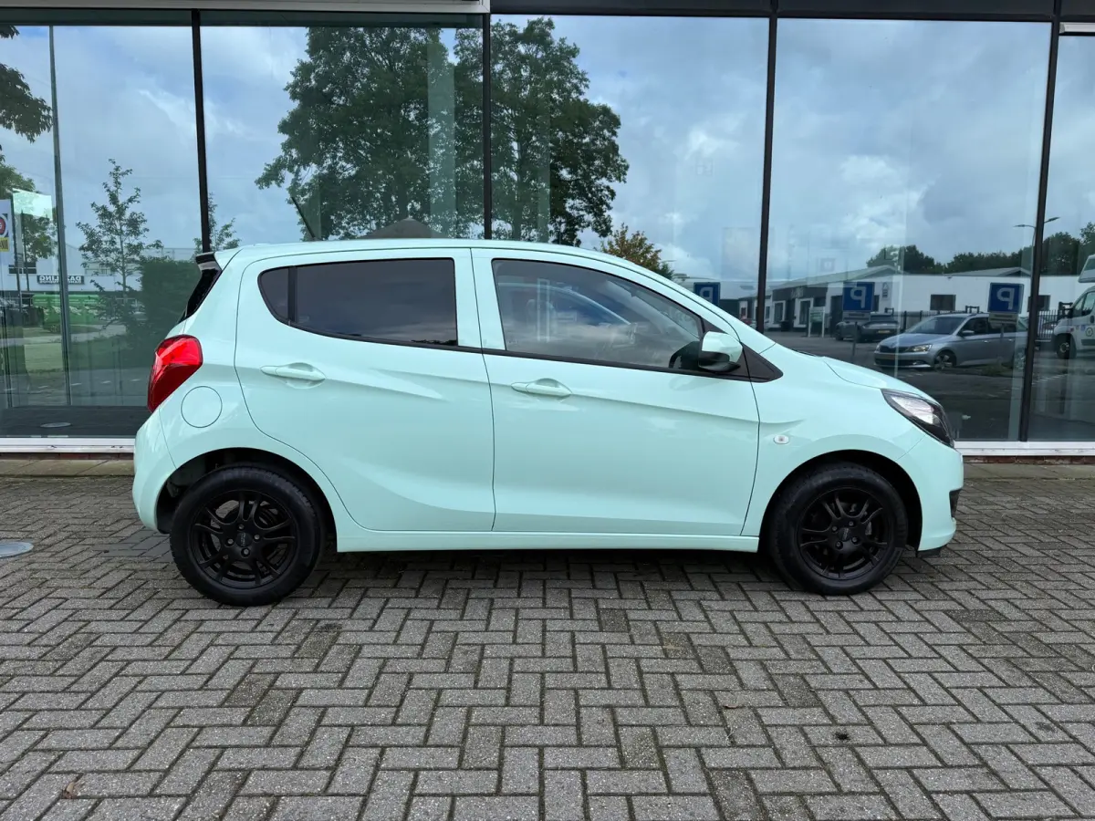 1.0 ecoFLEX Edition - Automaat - Media - Airco - Org.NL