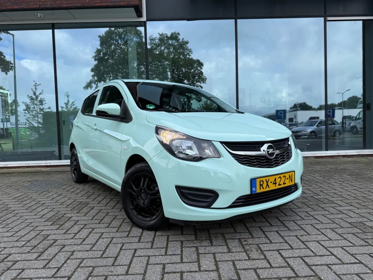 1.0 ecoFLEX Edition - Automaat - Media - Airco - Org.NL