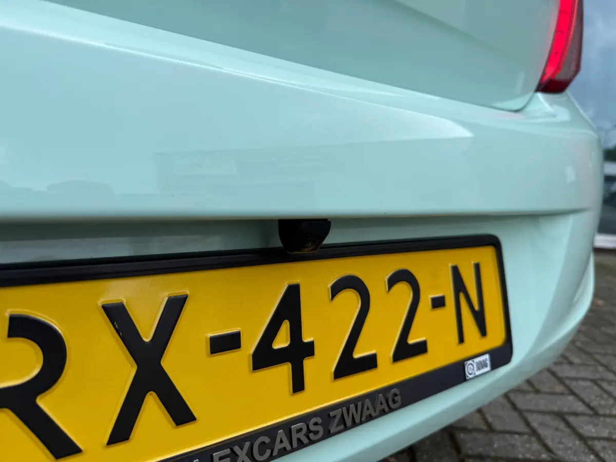 1.0 ecoFLEX Edition - Automaat - Media - Airco - Org.NL