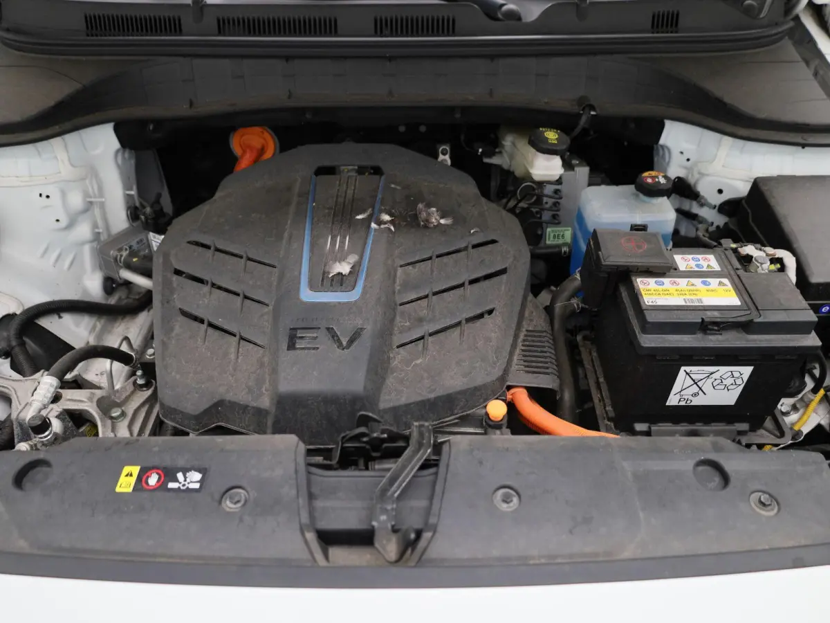 Techno 39,2kWh