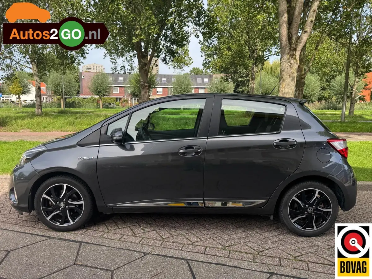 1.5 Hybrid Bi-Tone Plus