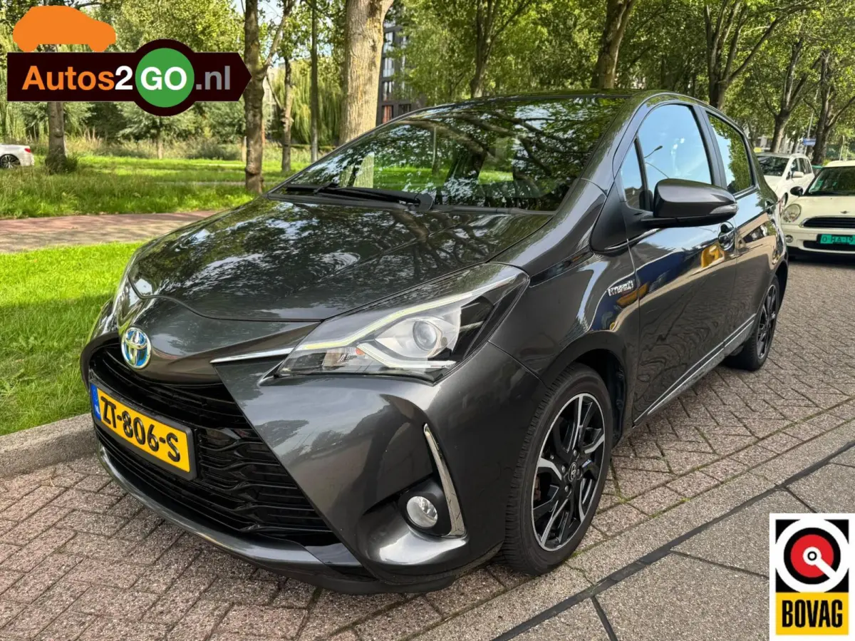 1.5 Hybrid Bi-Tone Plus