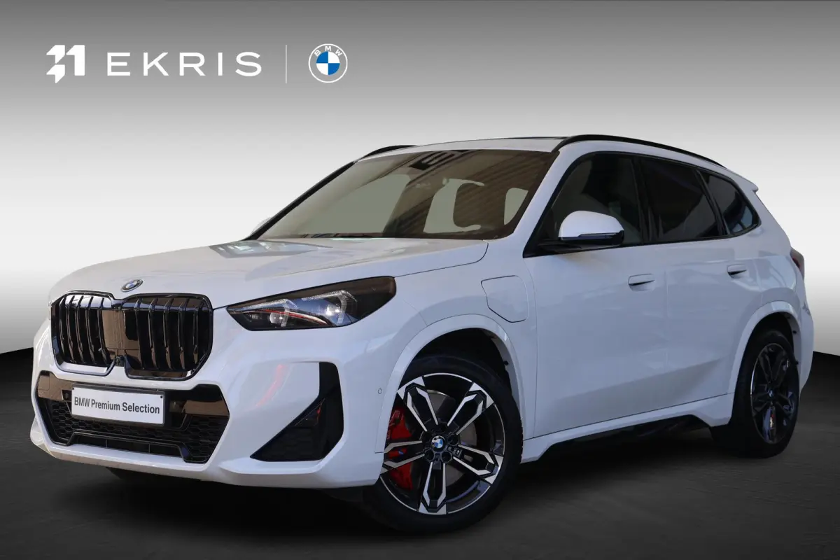 xDrive25e M sport pro | Panoramadak | Drive Assistant plus | Harman Kardon