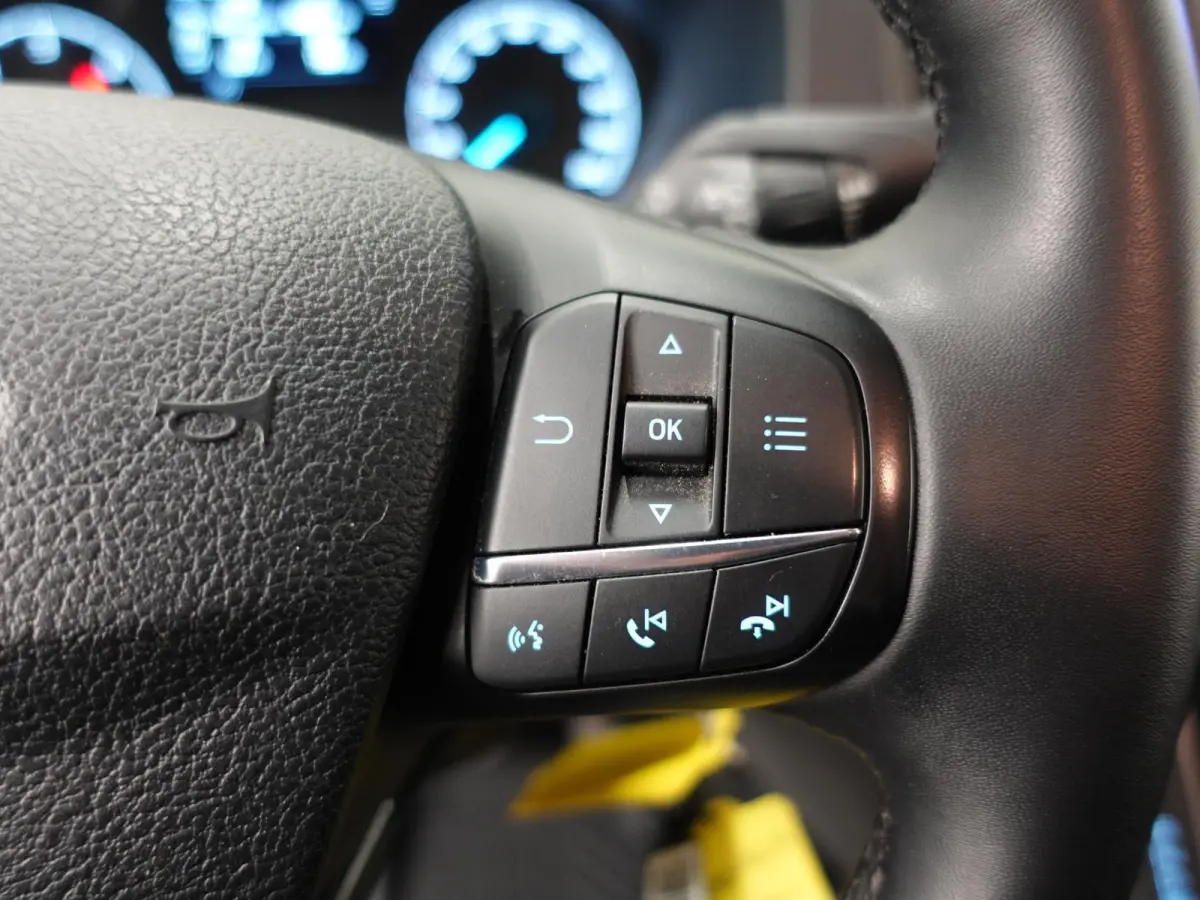 300 2.0 TDCI L2H1 Dubbele Cabine Trend Automaat Airco Navi Cruise Parkeersensoren Camera Trekhaak Carplay