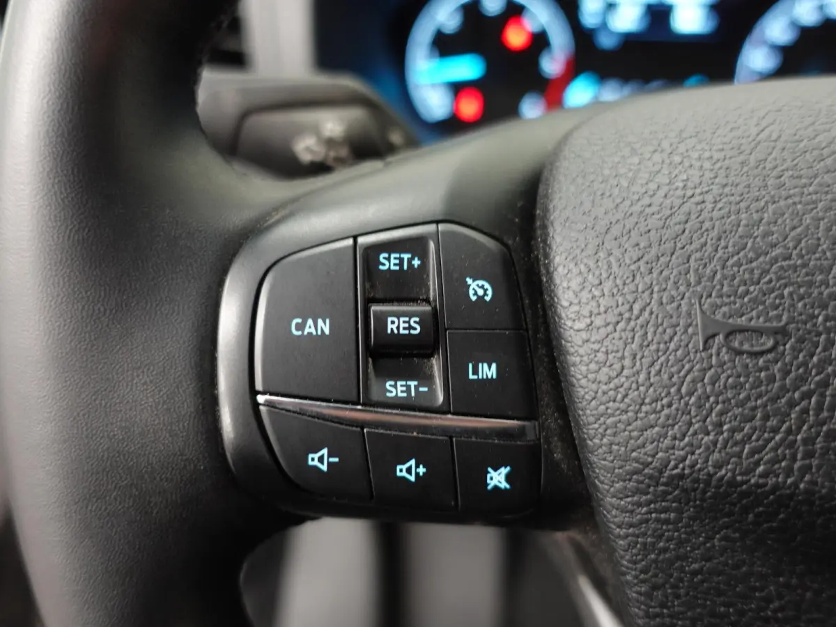 300 2.0 TDCI L2H1 Dubbele Cabine Trend Automaat Airco Navi Cruise Parkeersensoren Camera Trekhaak Carplay