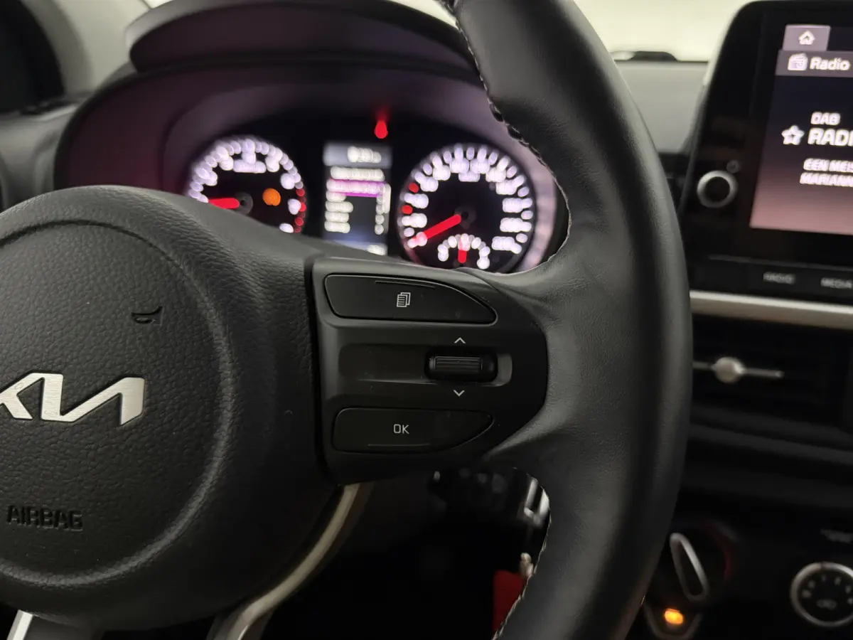 1.0 DPi DynamicLine | Airco | Camera | Carplay | Stoel/Stuurverw.