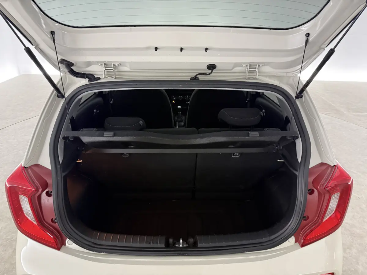 1.0 DPi DynamicLine | Airco | Camera | Carplay | Stoel/Stuurverw.