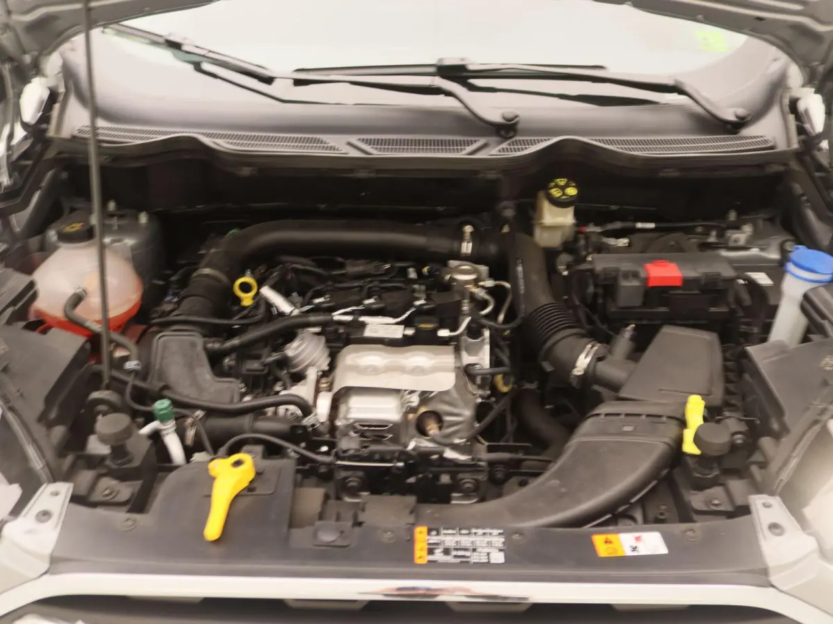 1.0 EcoBoost Titanium | Camera | Apple Carplay | Climate Control |