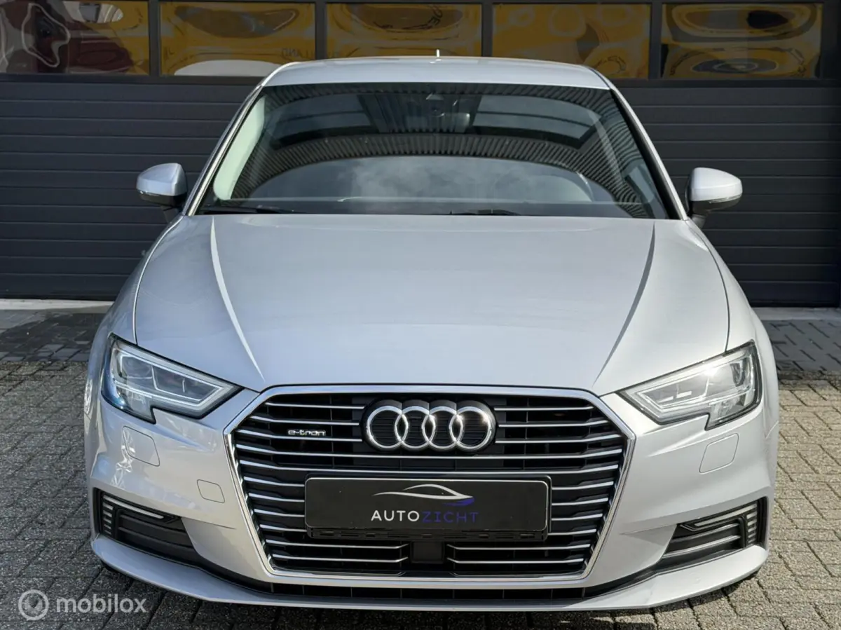 1.4 e-tron | Aut | Sensoren | Cruise | Stoelverw