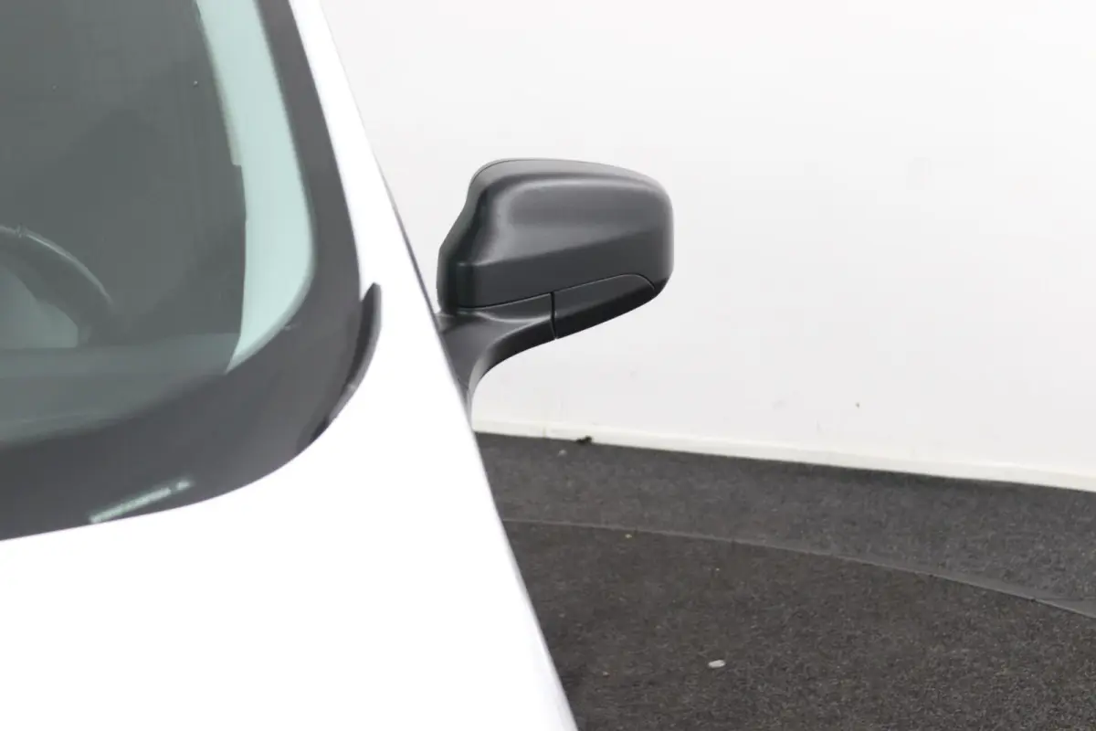 1.0 Trend EcoBoost S&S | BPM VRIJ | Schuifdeur |
