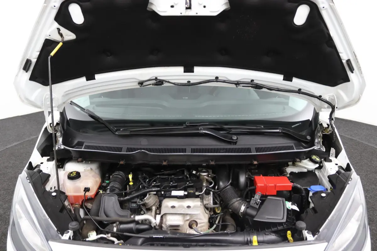 1.0 Trend EcoBoost S&S | BPM VRIJ | Schuifdeur |