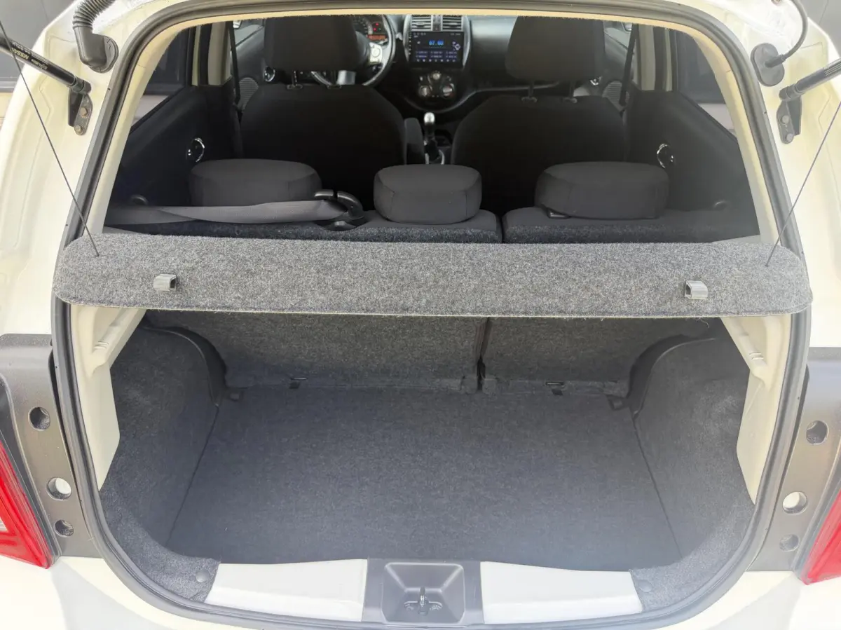 1.2 DIG-S Acenta Cruise CarPlay Elekpakket 98PK