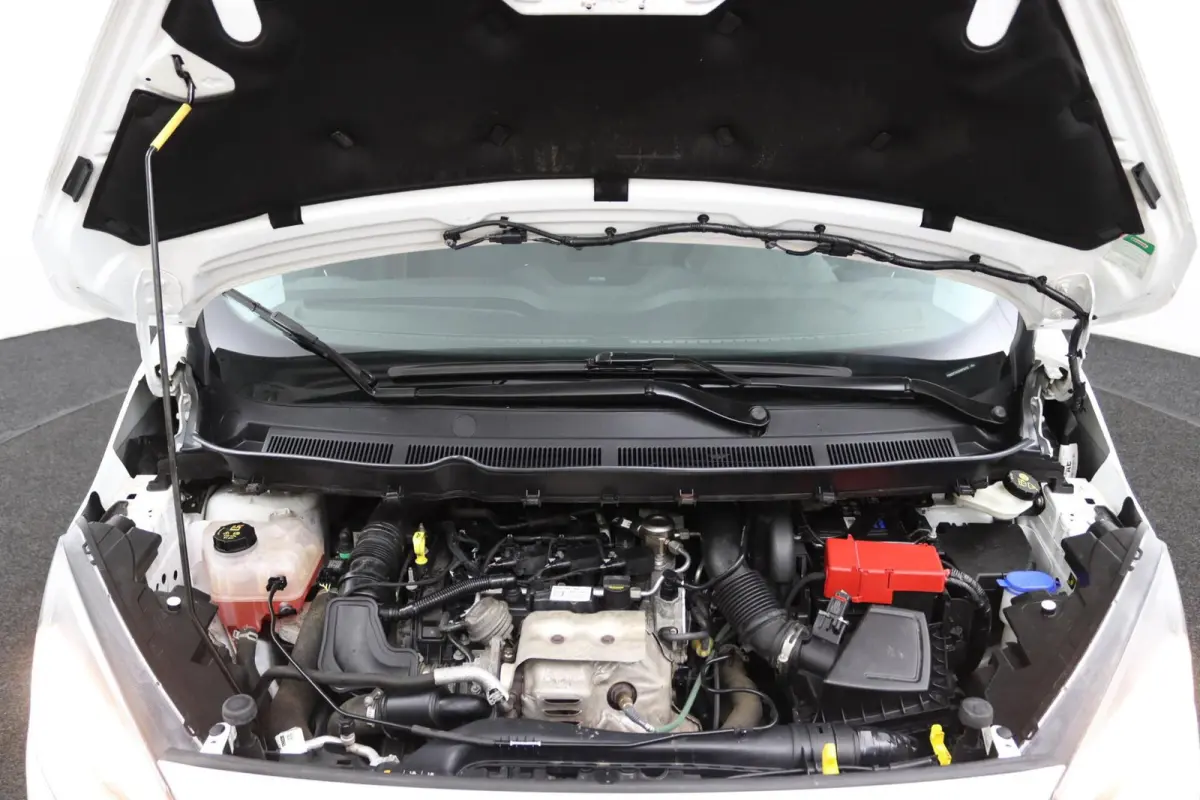 1.0 Trend EcoBoost S&S | BPM VRIJ | Schuifdeur |