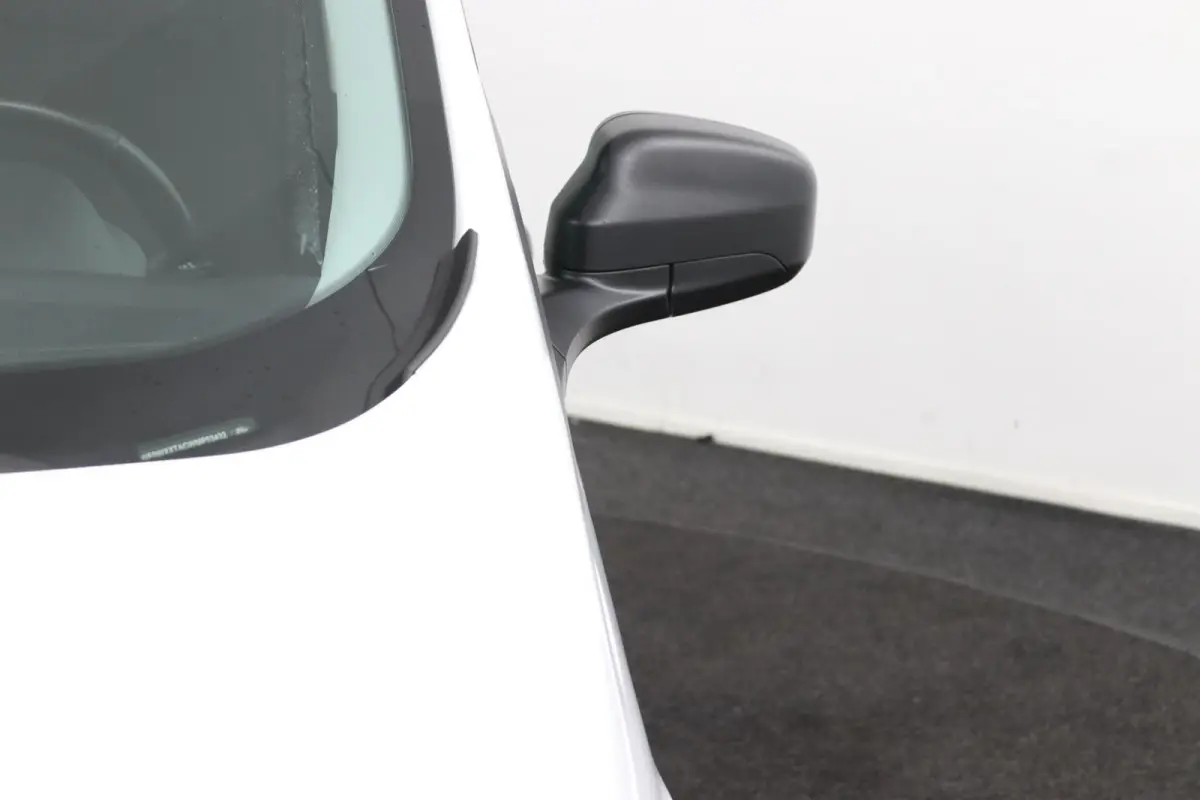 1.0 Trend EcoBoost S&S | BPM VRIJ | Schuifdeur |
