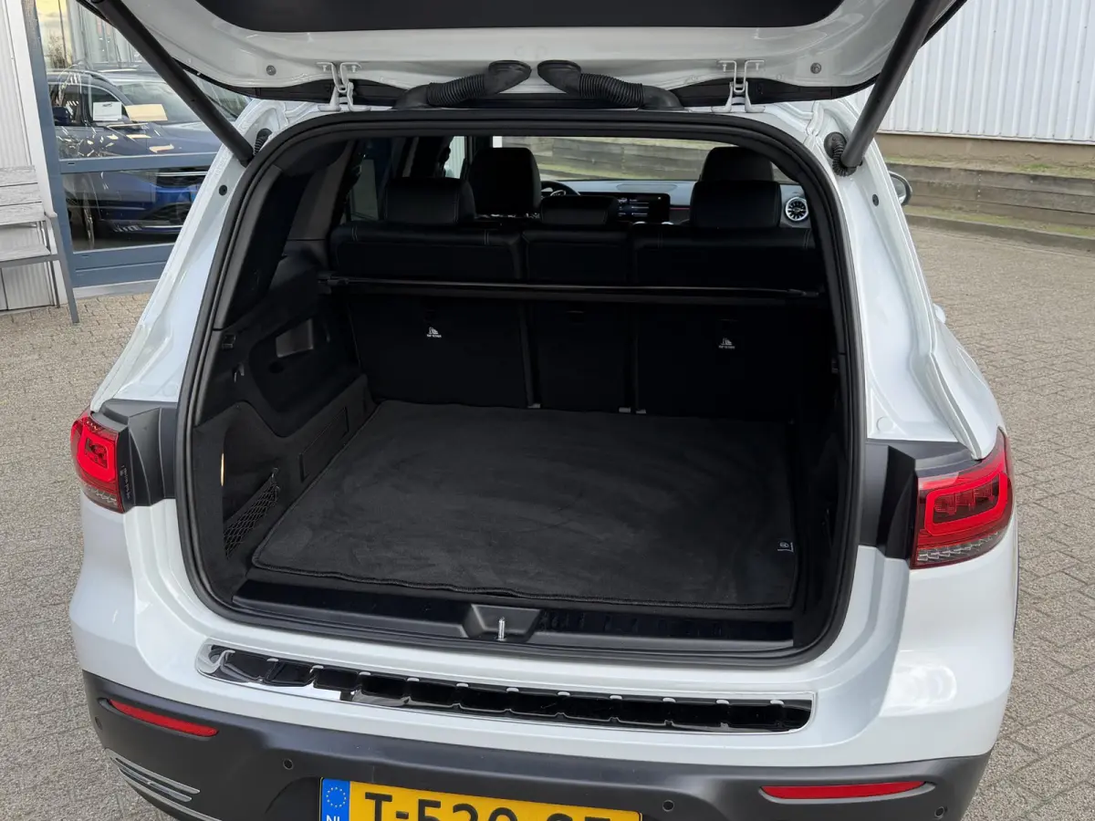 250 Business Line 67 kWh | NL-Auto/Carplay/Privacy Glass/Stoelverw.