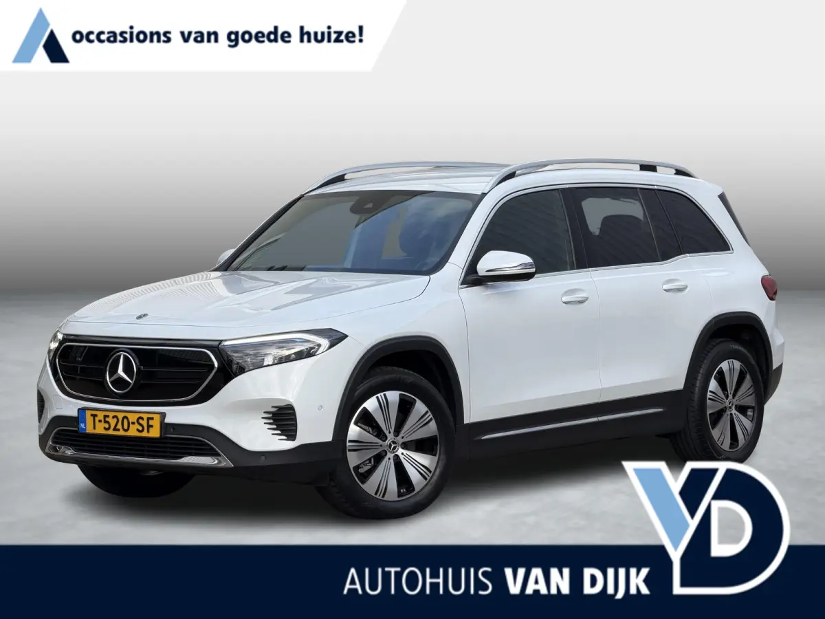 250 Business Line 67 kWh | NL-Auto/Carplay/Privacy Glass/Stoelverw.