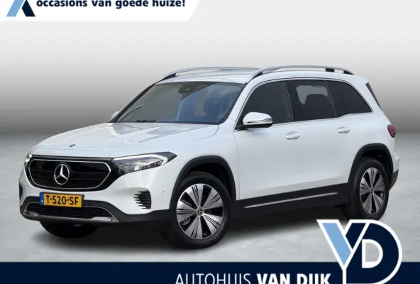 250 Business Line 67 kWh | NL-Auto/Carplay/Privacy Glass/Stoelverw.