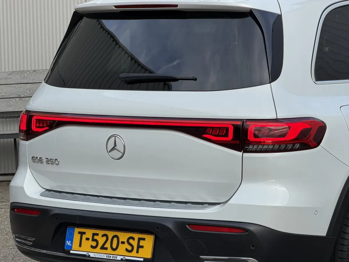 250 Business Line 67 kWh | NL-Auto/Carplay/Privacy Glass/Stoelverw.