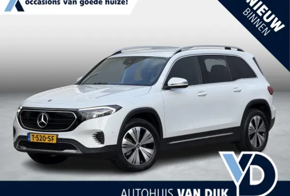 250 Business Line 67 kWh | NL-Auto/Carplay/Privacy Glass/Stoelverw.